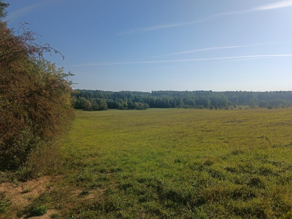 IMG_20240920_101256 Duży