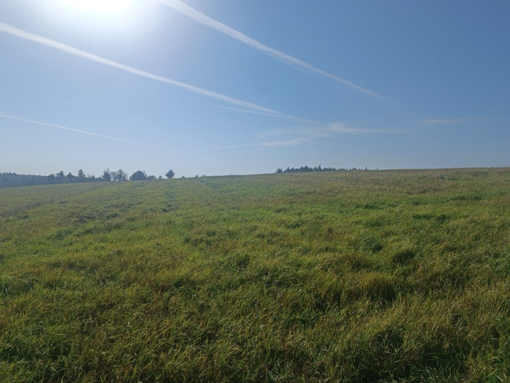 IMG_20240920_101258 Duży