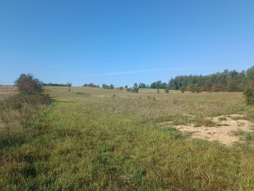 IMG_20240920_101732 Duży