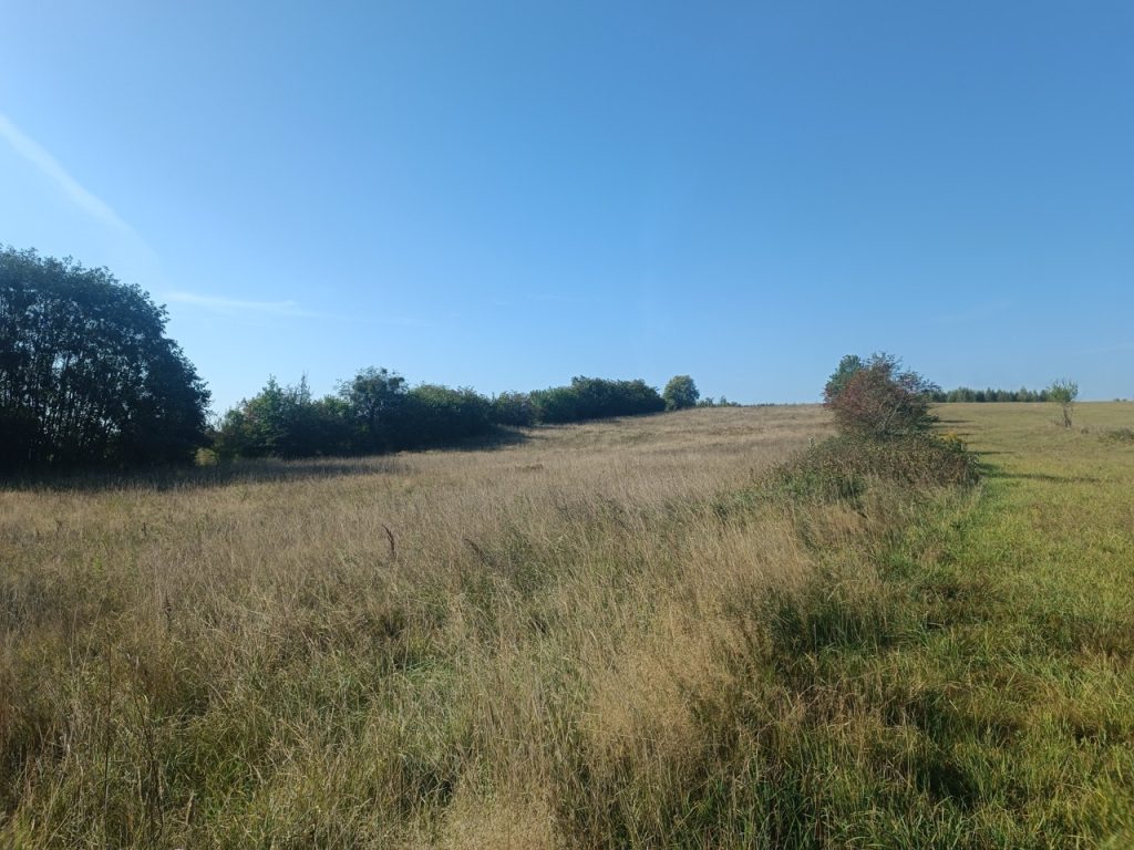 IMG_20240920_101733 Duży