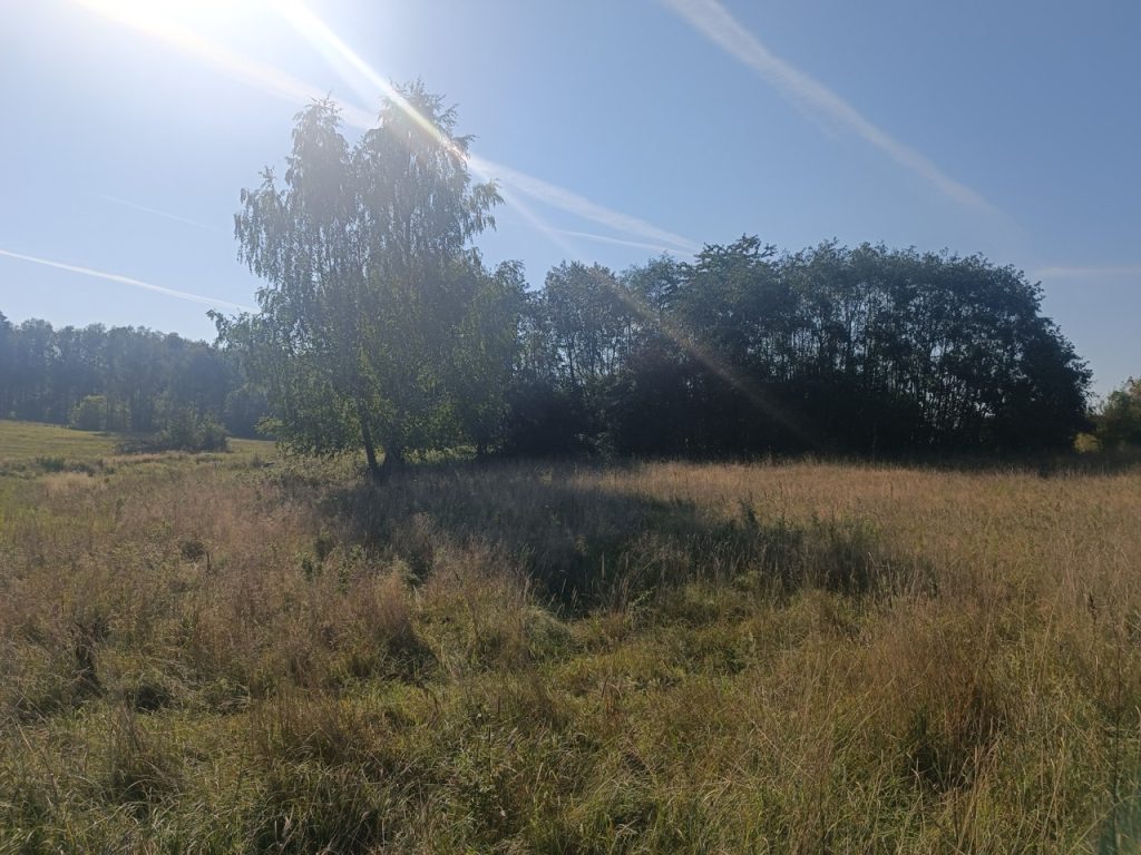 IMG_20240920_101735 Duży