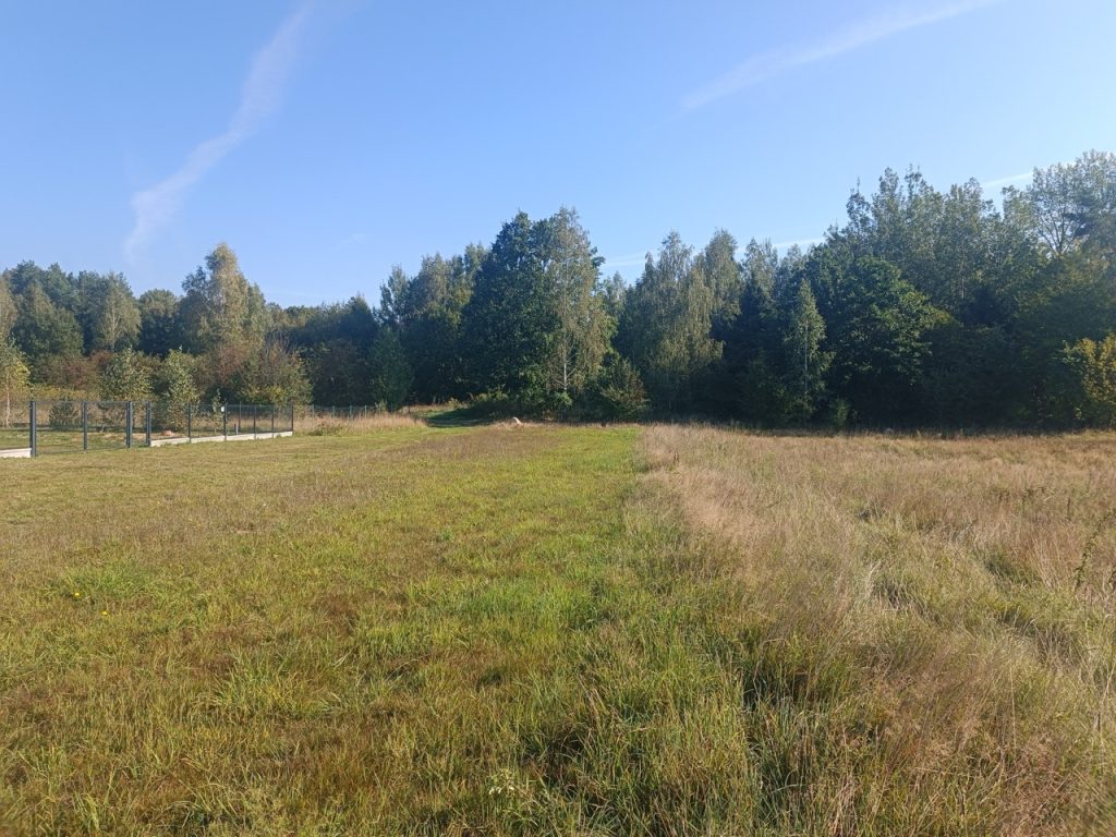 IMG_20240920_101739 Duży