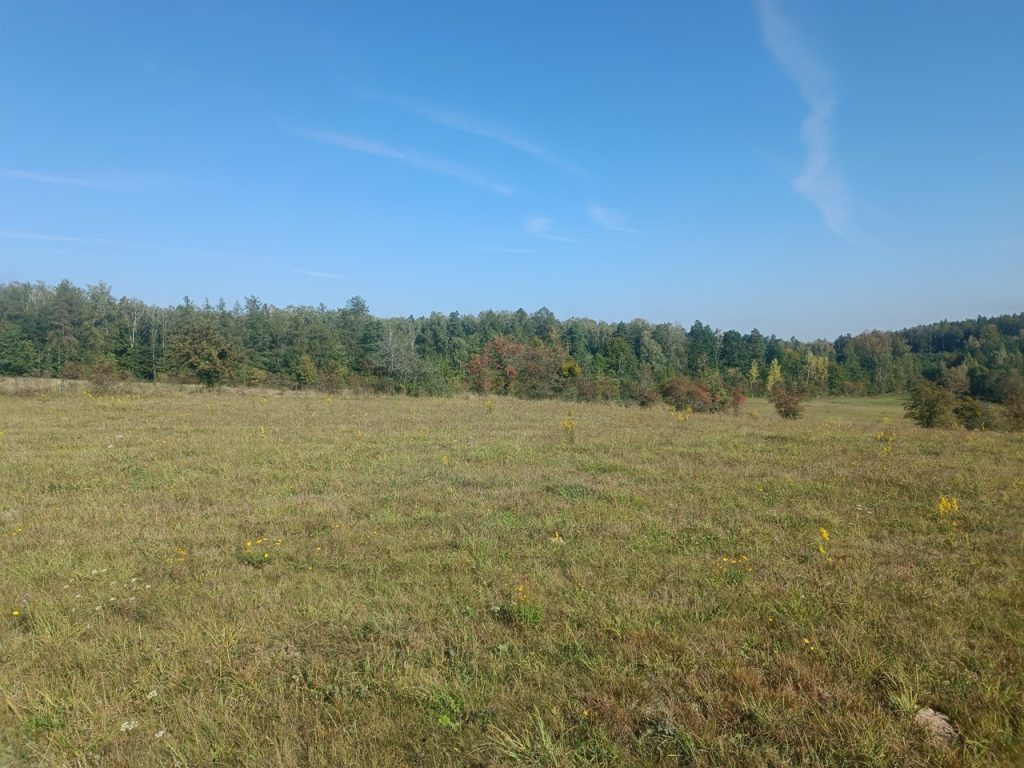 IMG_20240920_102337 Duży