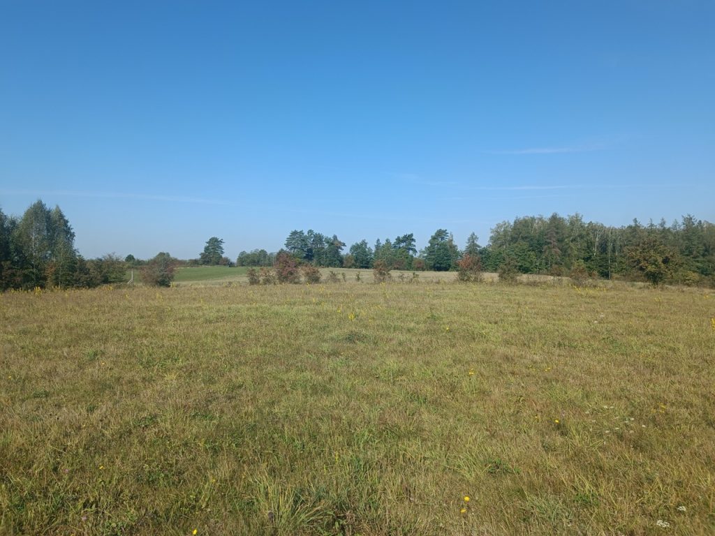 IMG_20240920_102339 Duży