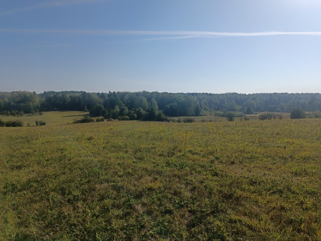 IMG_20240920_102638 Duży
