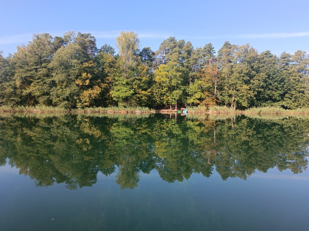IMG_20240920_105218 Duży